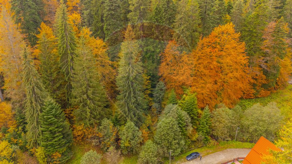 Comision 0 | Teren intravilan de vânzare – Predeal, Brașov 908 mp