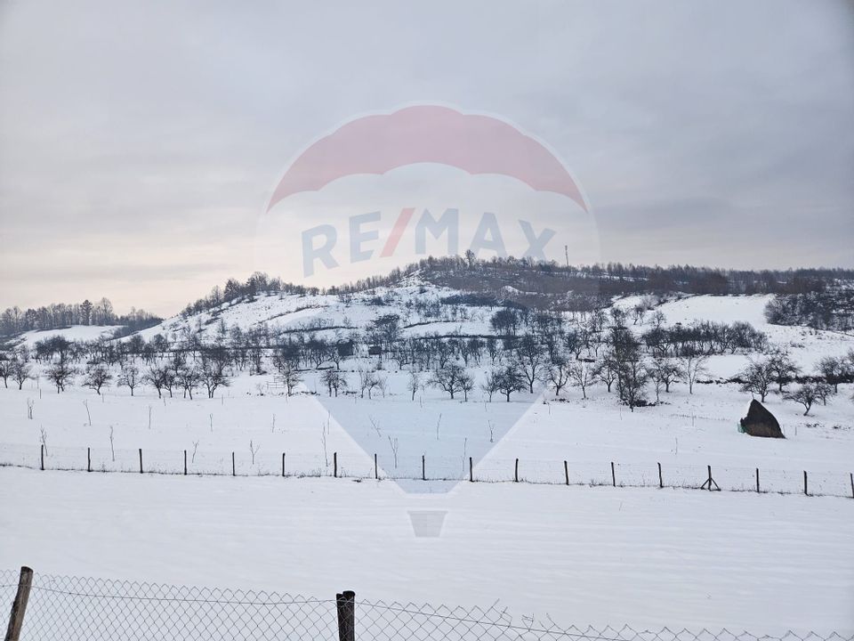 Teren 4,301mp Barsana / Strada Principala