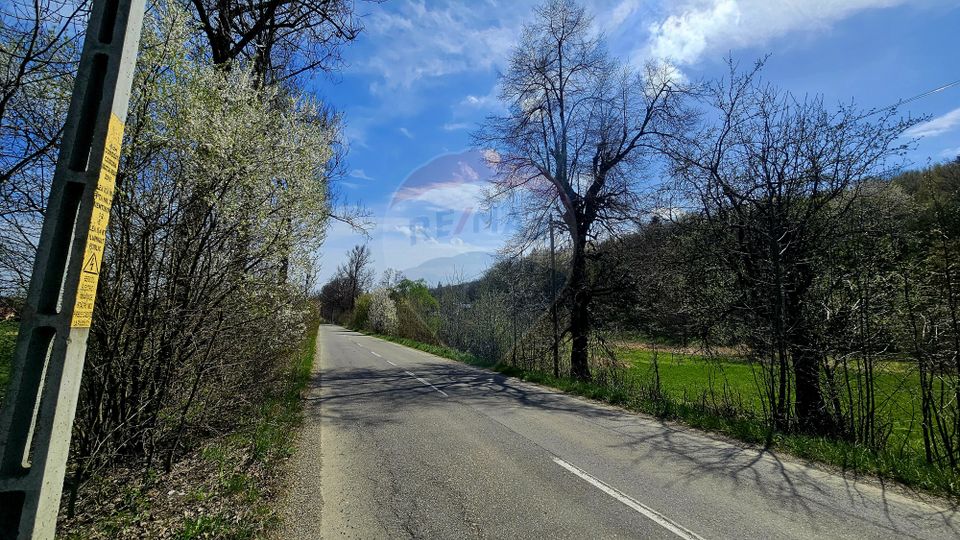 Land 10,000sqm Nemtisor / DJ 155C