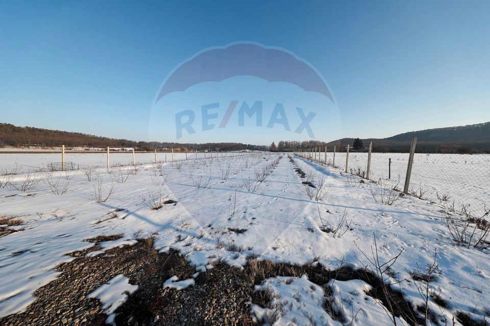 Land 4,300sqm Sanpetru / Calea Harmanului