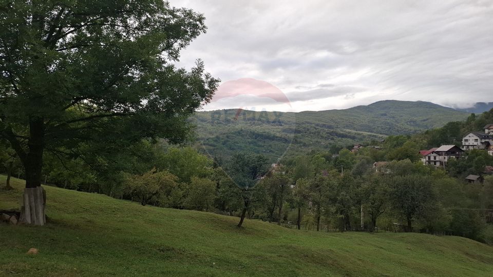 Teren cu priveliste spectaculoasa, 4000mp, la 18km de Sinaia