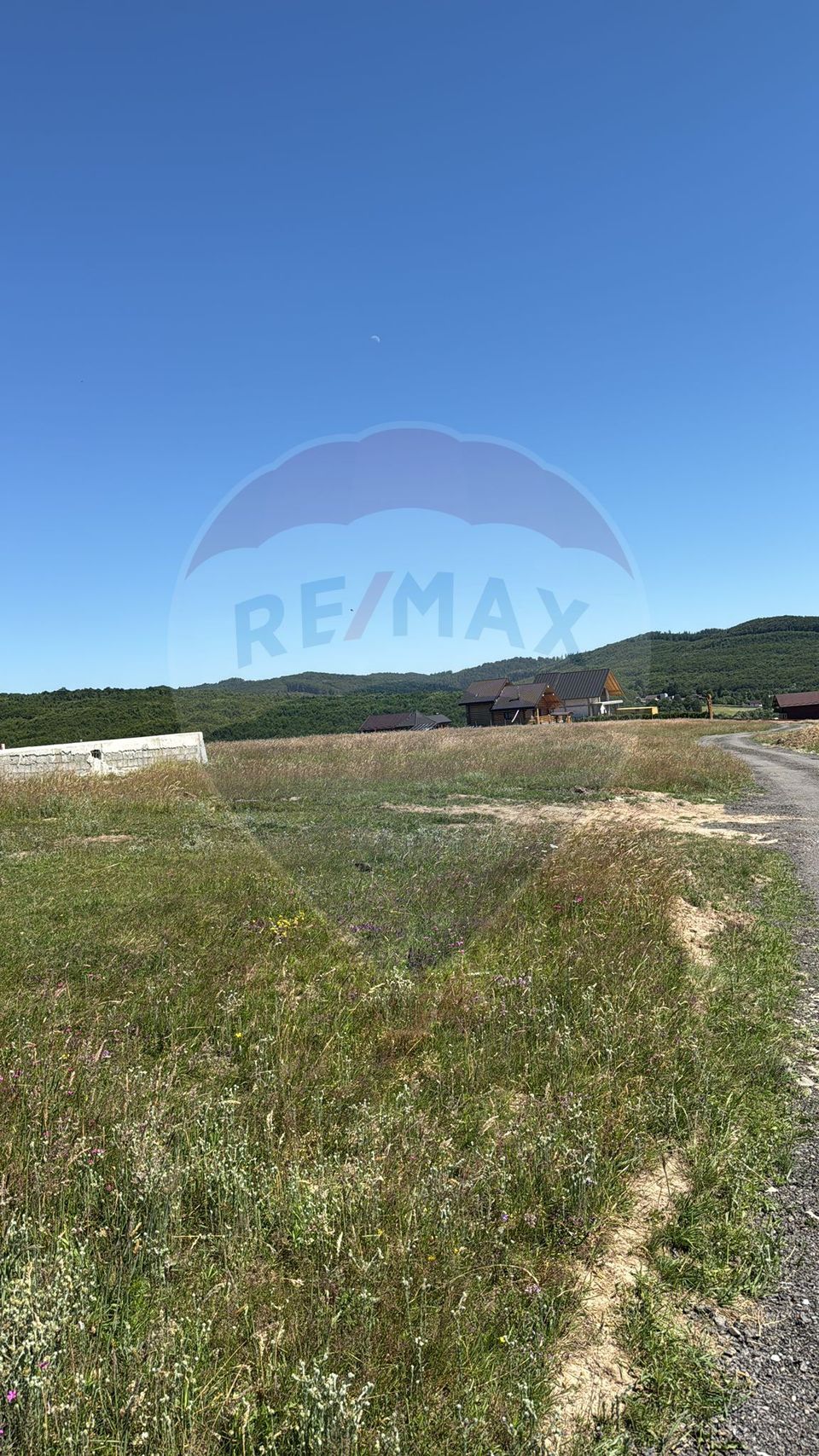 Land 3,757sqm Paltinoasa / Strada principala