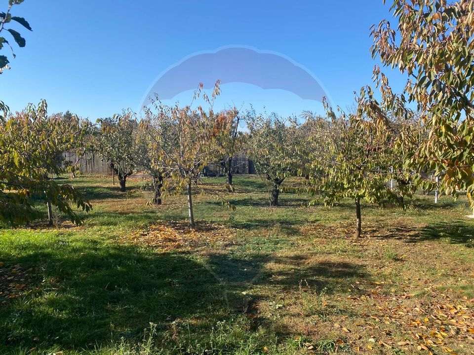 Land 1,520sqm Paulestii Noi / Calea Unirii