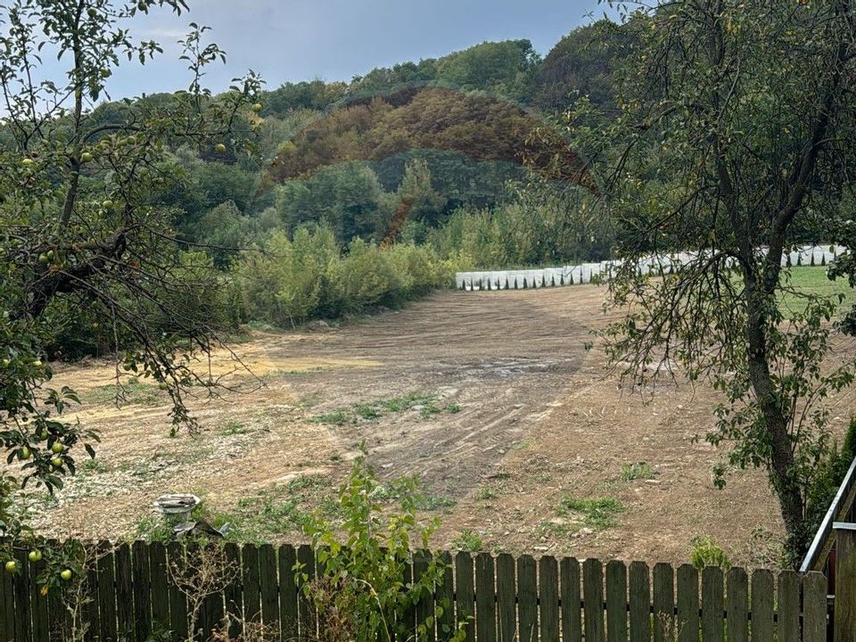 Teren 5.000 mp Valea Budului / 8,3 KM de centrul orasului Bacau