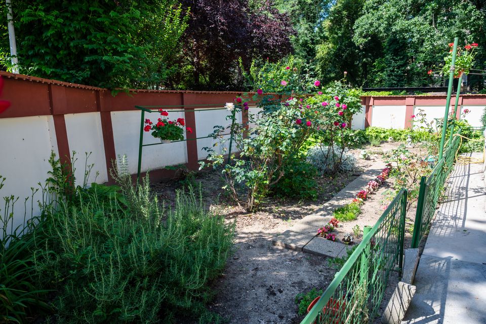 8 room House / Villa for sale, Kiseleff area