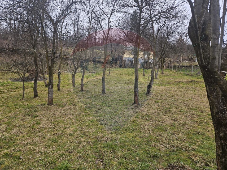 Casă  cu 5 camere de vânzare, Vișeu de Sus