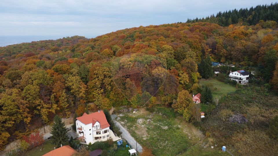 Teren de vanzare în Faget 1542 mp cu panorama
