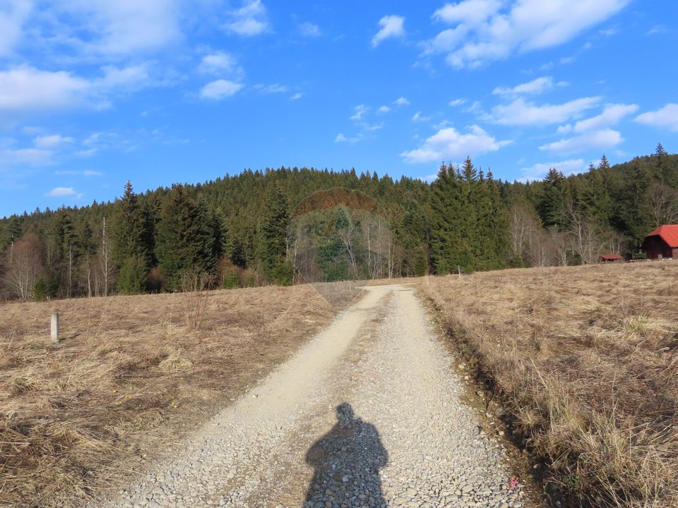 Land 1,183sqm Timisu de Sus / Strada Poiana lui manole