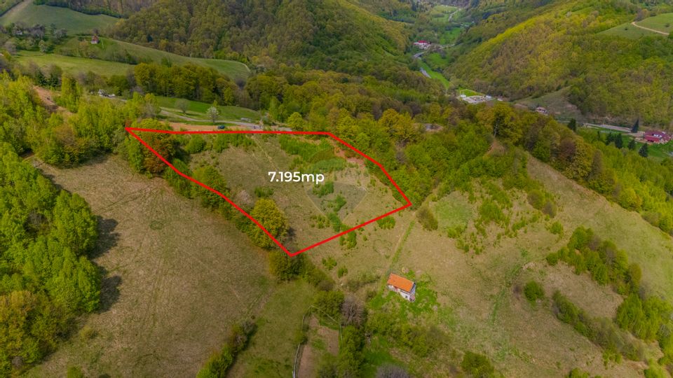 Teren 7,195mp Poiana Marului /Extravilan/Oportunitate investiție