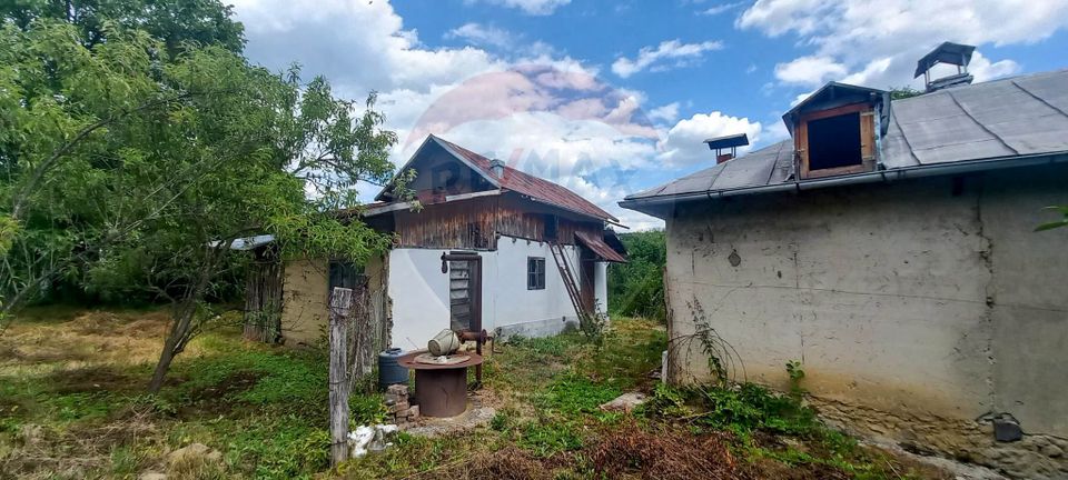 Land 3,551sqm Poiana Copaceni / Strada Poiana Copaceni