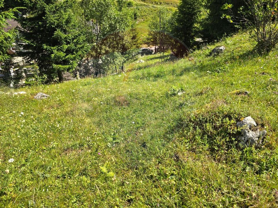 Teren de vis în Fundata 1934mp sau 3868mp, la înălțimea sufletului tău