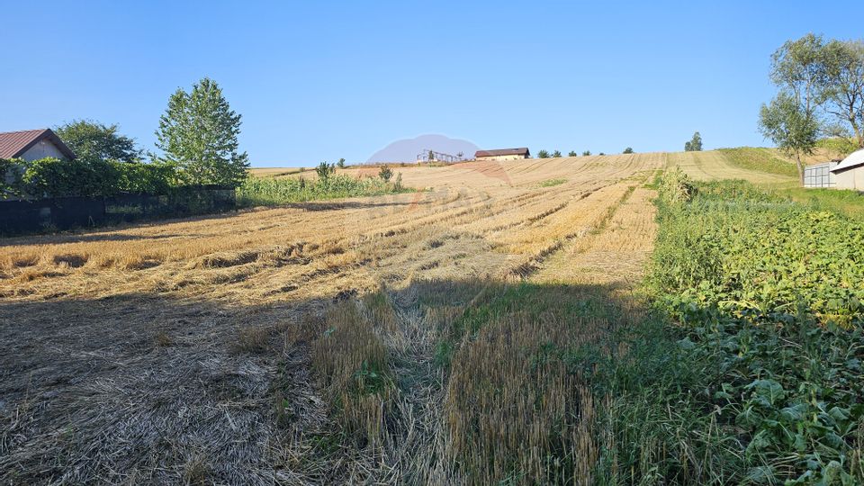 Teren intravilan, 7500 mp in Moara Carp / Strada Eternitatii-Suceava