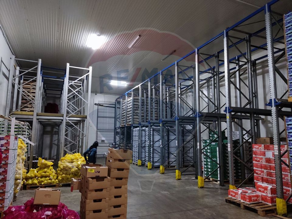 Depozit frigorific  hala ideal legume, fructe, flori