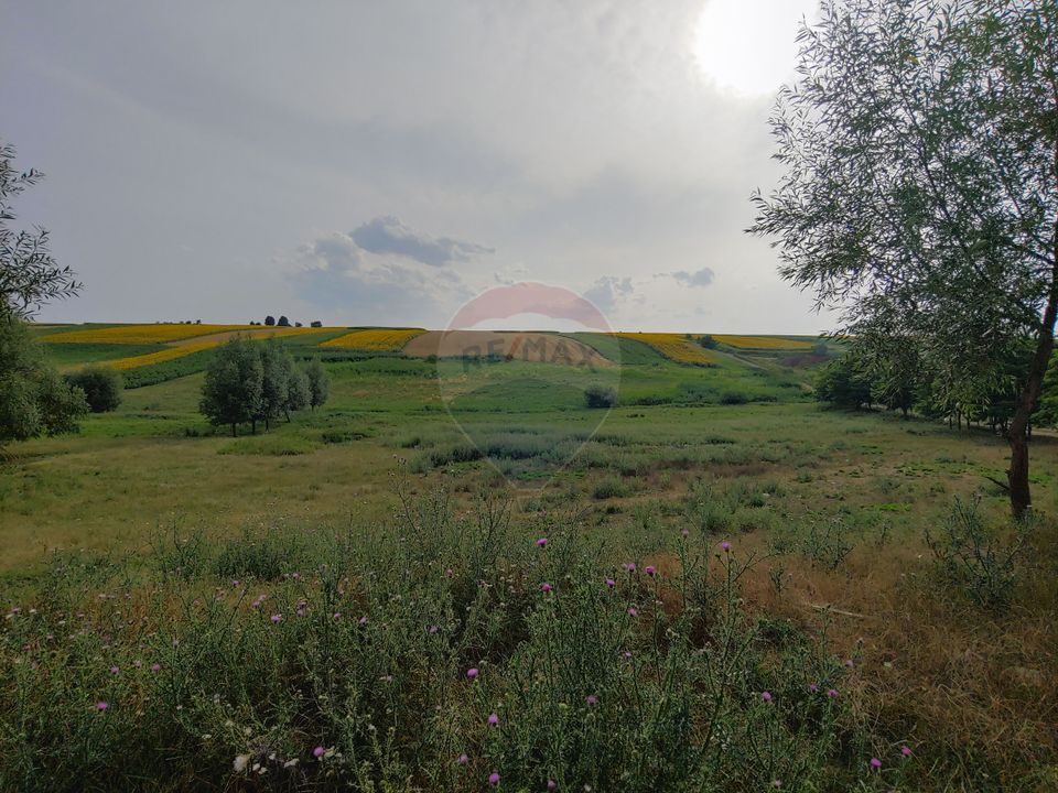 Teren parțial intravilan-300000mp Stroiești-Trei Movile, Suceava