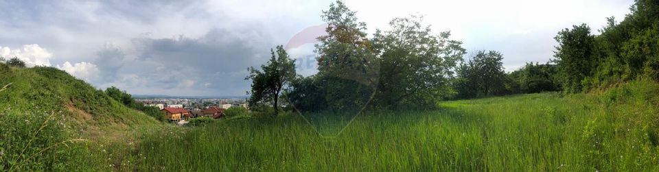 Teren 2,868mp /case/ duplexuri /Baia Mare / Strada Sanatatii Panoramic