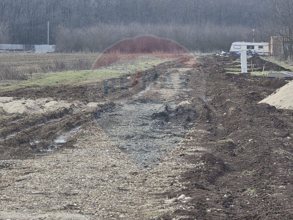 Teren 704 mp Silistea Snagovului vecinatate Padurea Snagov