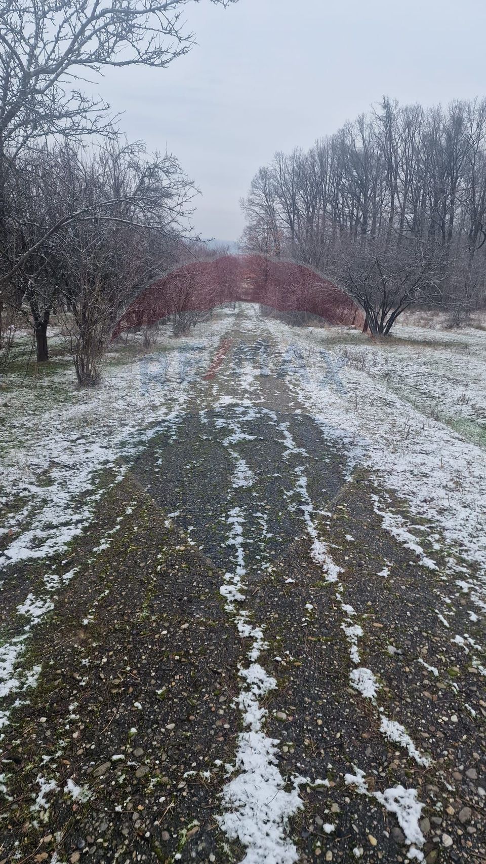 Teren 5,700mp Somcuta Mare / investitie cu potential major