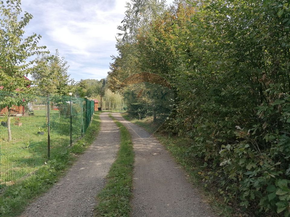 Teren 6,000mp Valea Draganului / Strada Principala