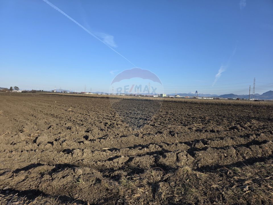 Teren intravilan, 5000 mp, Stupini, str Pomiculturii