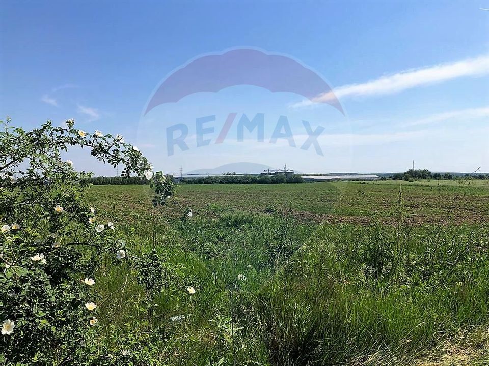 Teren  investitie/constructii industriale Pantelimon