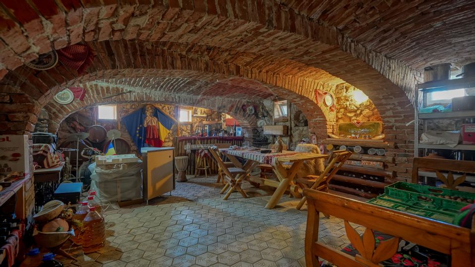 Elegant house, wine cellar, view of the mountains and peak. Postăvaru