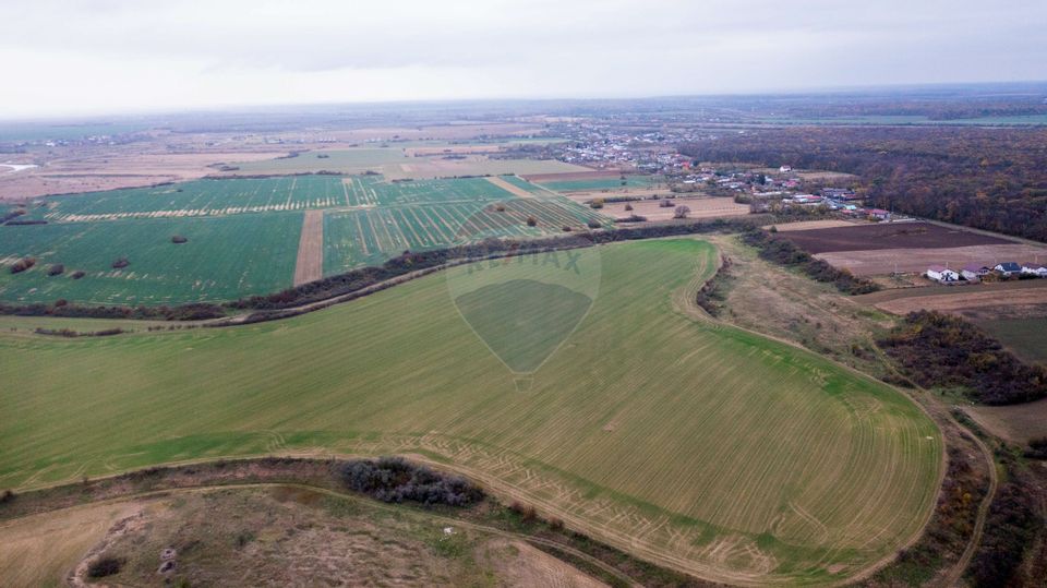 Land 310,000sqm Catunu (Berceni) / Intrarea tarla 17