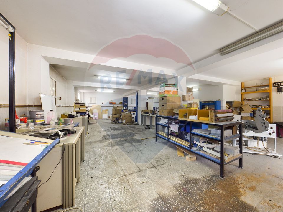 21 room House / Villa for sale, Alexandriei area