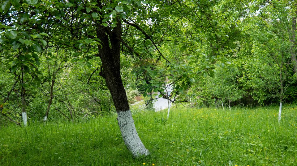 Vanzare teren intravilan in Breaza, cartierul Valea Tirsei 6870 mp