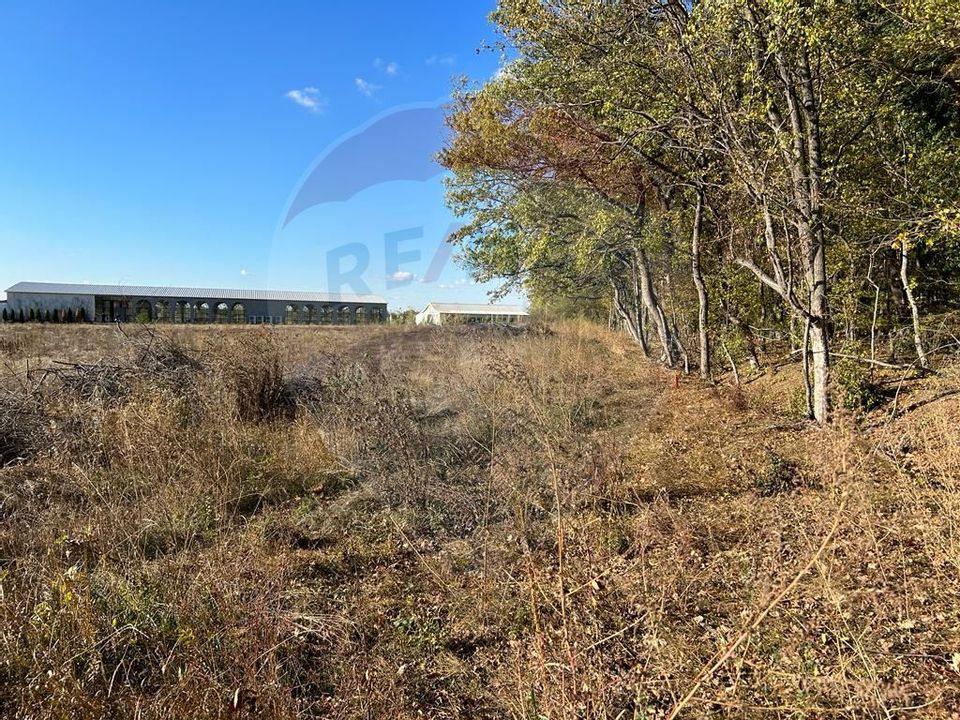 Land 4,050sqm Ciolpani / Strada Plopului