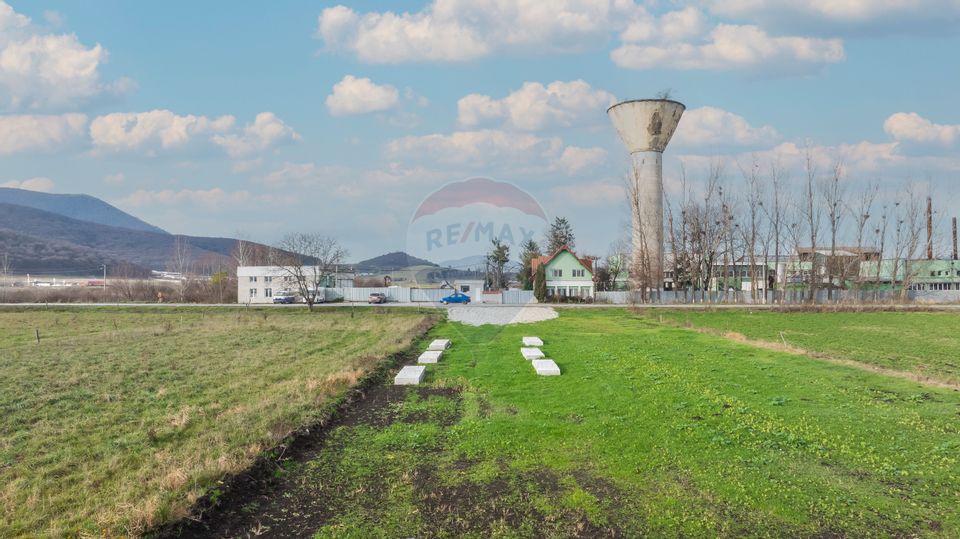 Land 10,000sqm Codlea / Strada Halchiului