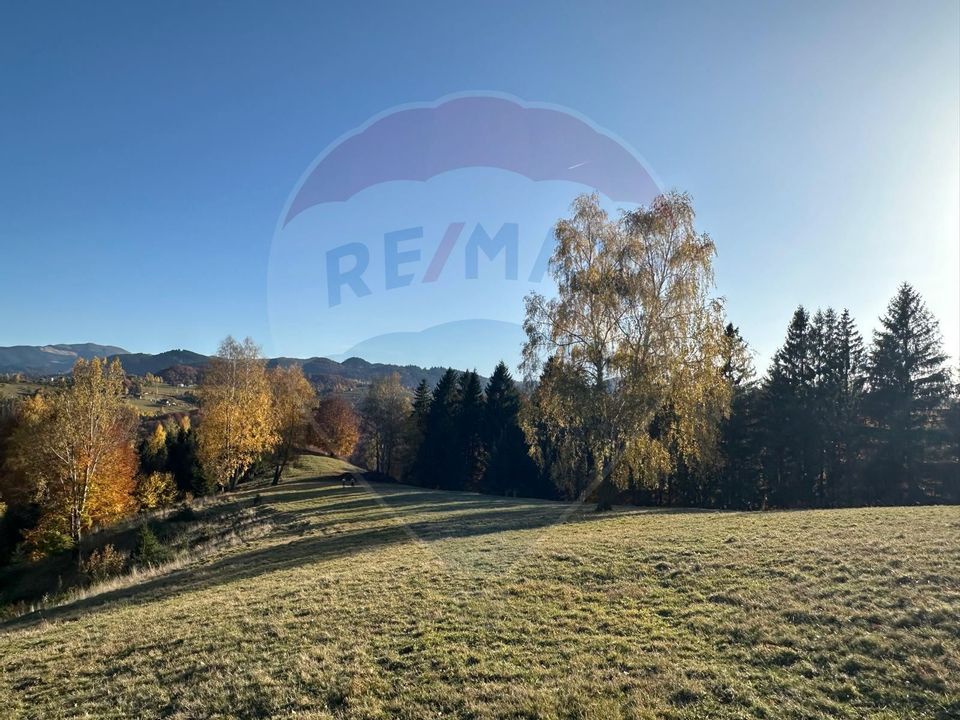 Investment opportunity ! Dream land in Pestera - 125,370 sqm