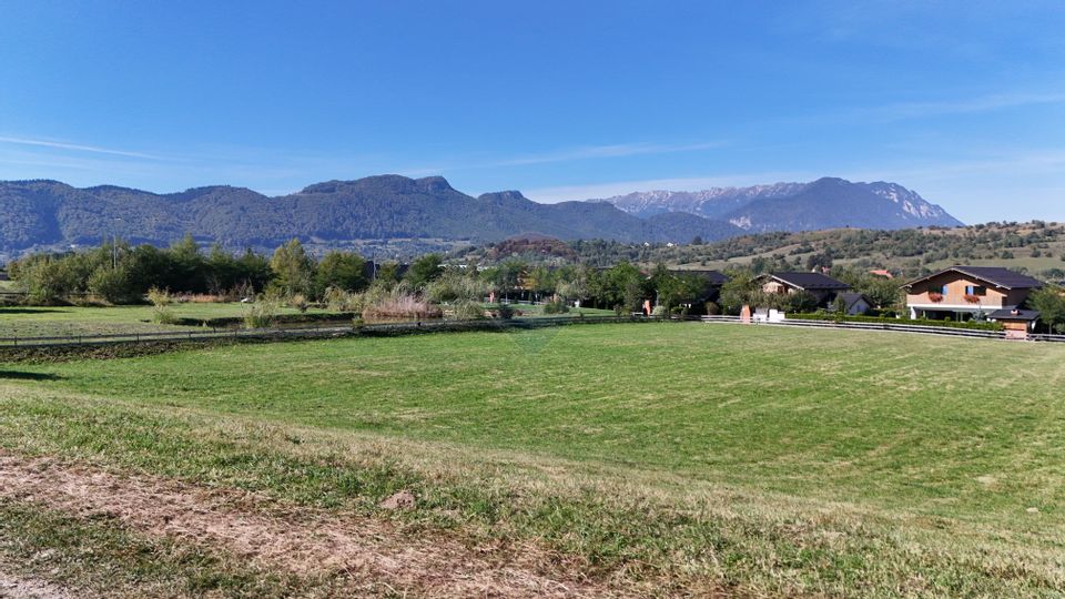 Comision 0% | Oportunitate de investiție | Tohanu Nou–Bran | Utilități