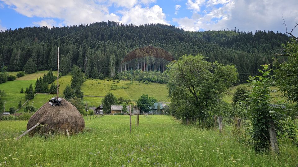 Casa 225 mp, teren intravilan 4822 mp C. Moldovenesc, Suceava