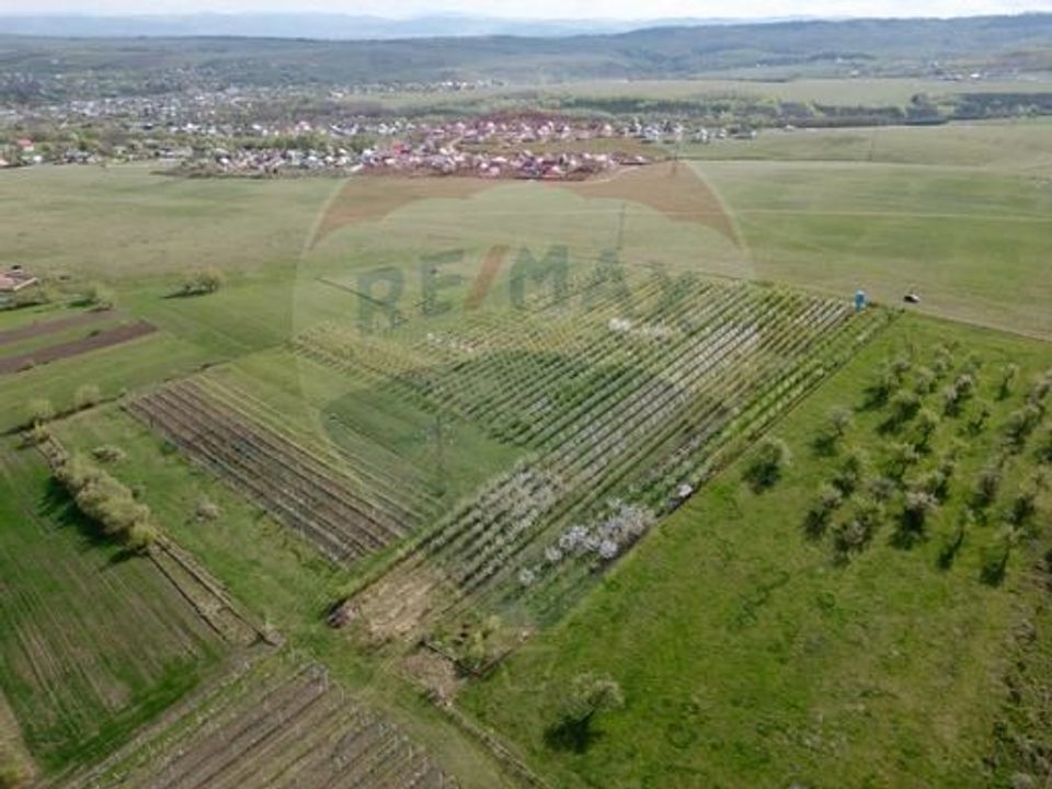 Land 2,600sqm Ciprian Porumbescu / Drumul COSERI