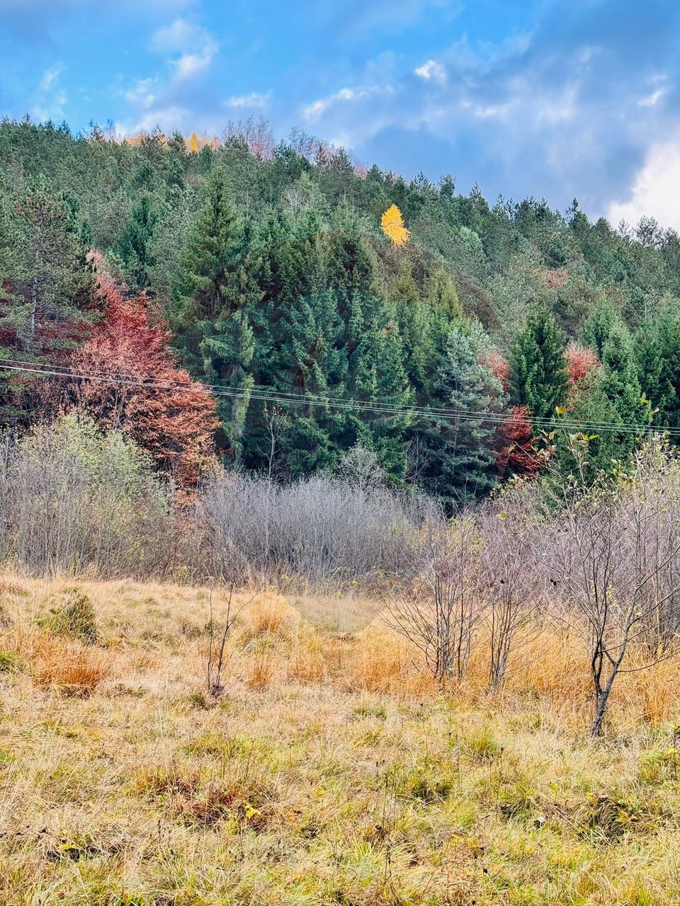 Teren 4,877mp Mara / Strada Principala