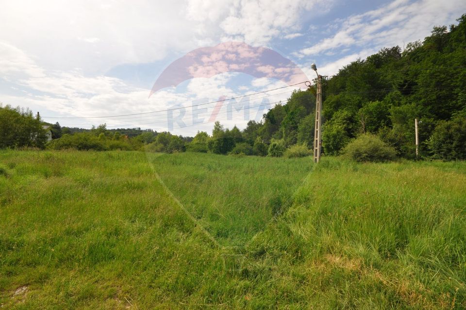 Teren Brasov - Noua, la marginea padurii