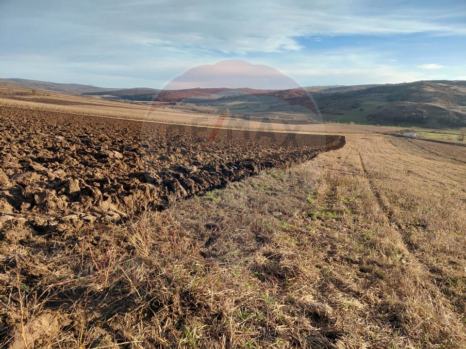 Land 7,200sqm Secuieni / DN Principala