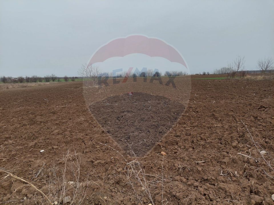 Land 1,500sqm Caciulati / Strada gradinilor