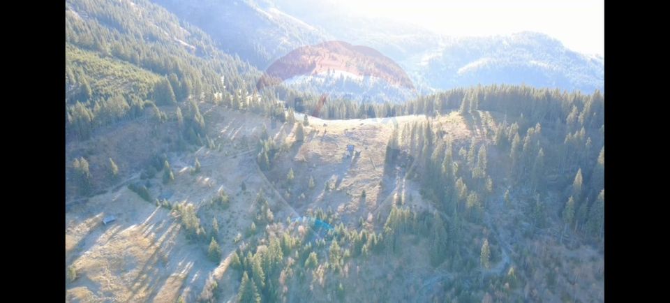 Teren 31,461mp Panaci / Prelungirea Ialovita