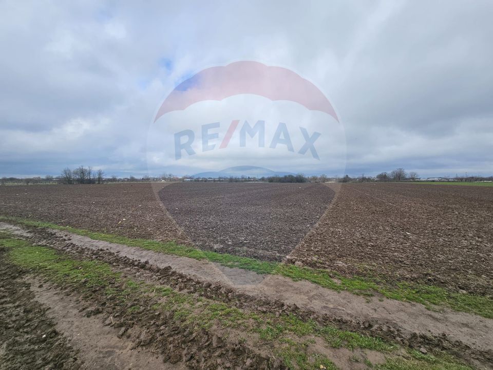 Teren de vanzare, intravilan, Adunatii-Copaceni Strada Scolii Primarie