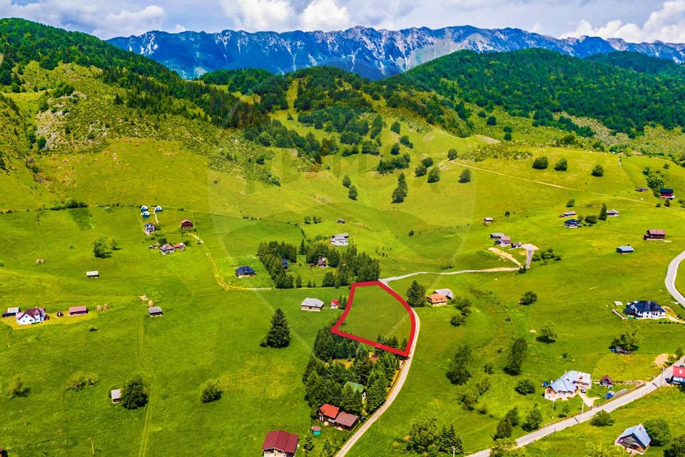 Land 5,731sqm Sirnea / Strada Principala