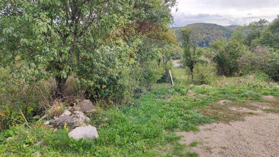 Teren constructii si faneata/livada 3082 mp Damis Bratca drum DJ 764D