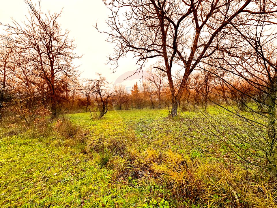 DE VANZARE LOCATIE SUPERBA