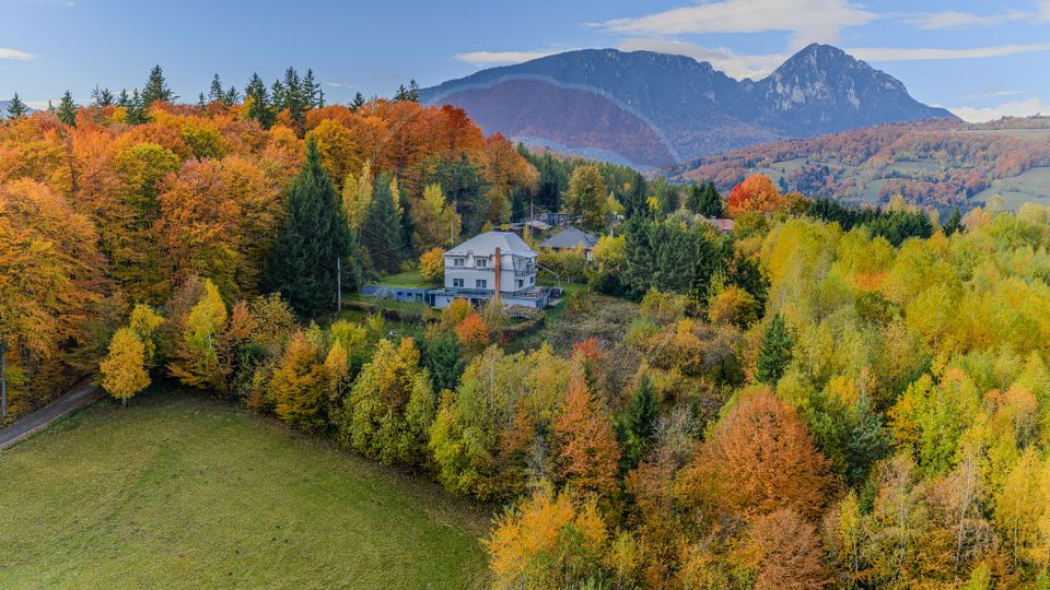 7 room House / Villa for sale