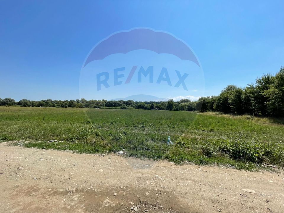 TEREN  INTRAVILAN  5000mp ORAS CISNADIE  STR. SELIMBARULUI