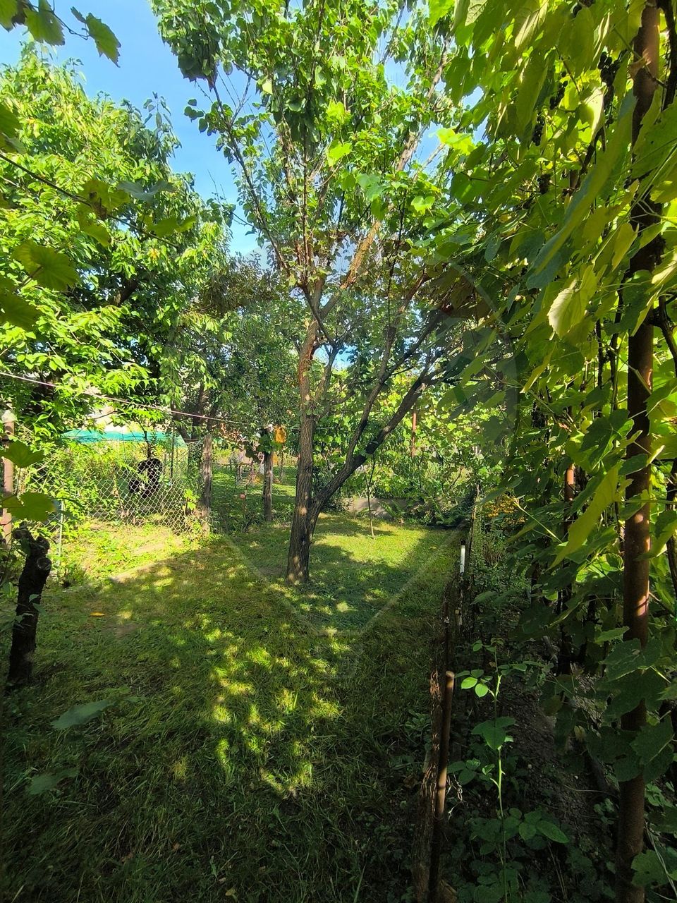 Casă de vanzare 3 camere Gherla