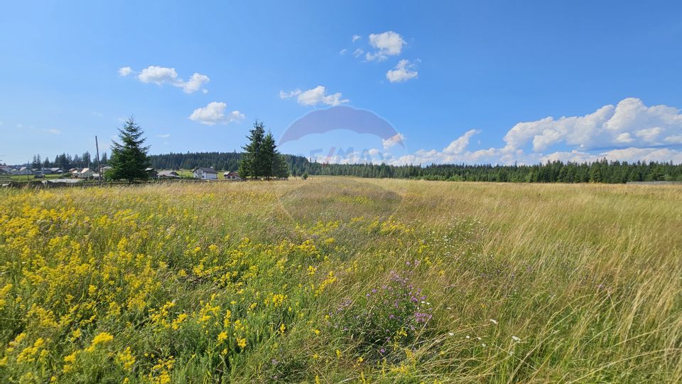 Teren parțial intravilan 30,930 mp Poiana Stampei-DN E58, Suceava