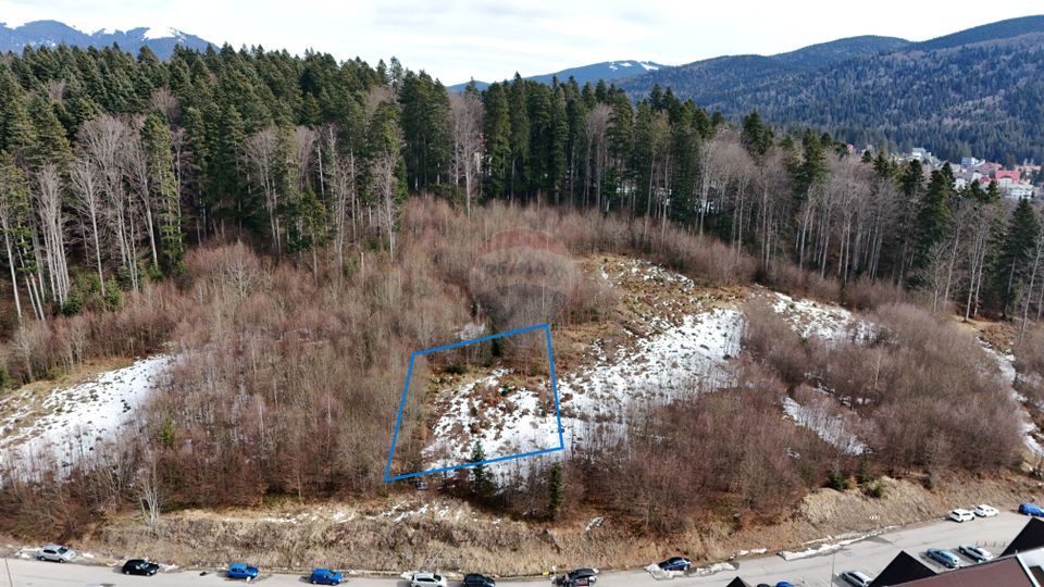 Land 1,000sqm Predeal / Strada Poiana Narciselor