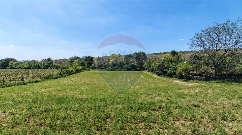 Land 3,864sqm Urlati / Strada Valea Seman