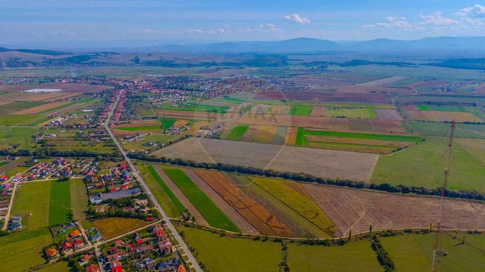 Teren 10,000mp Bod/Extravilan